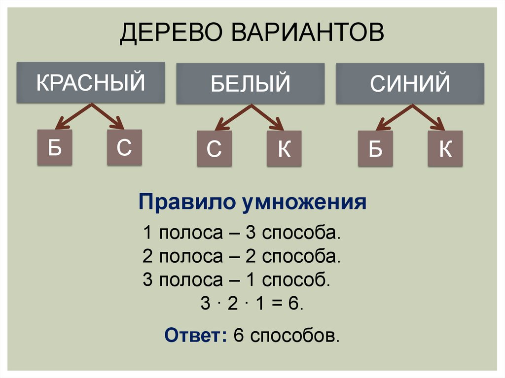 Дерево вариантов математика 6 класс