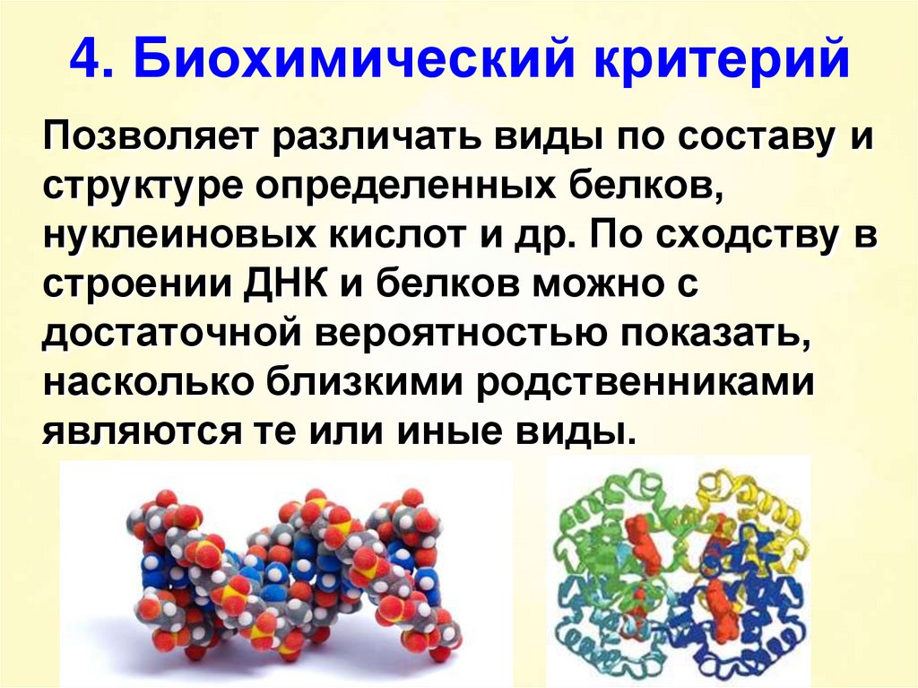 Презентация видов 10. Биохимический критерий вида. Биохимический критерий примеры. Биохимический критерий это в биологии. Физиологический и биохимический критерии вида это.