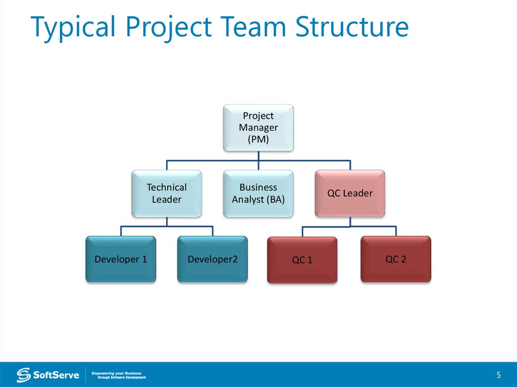 Project Team Roles and Responsibilities - online presentation