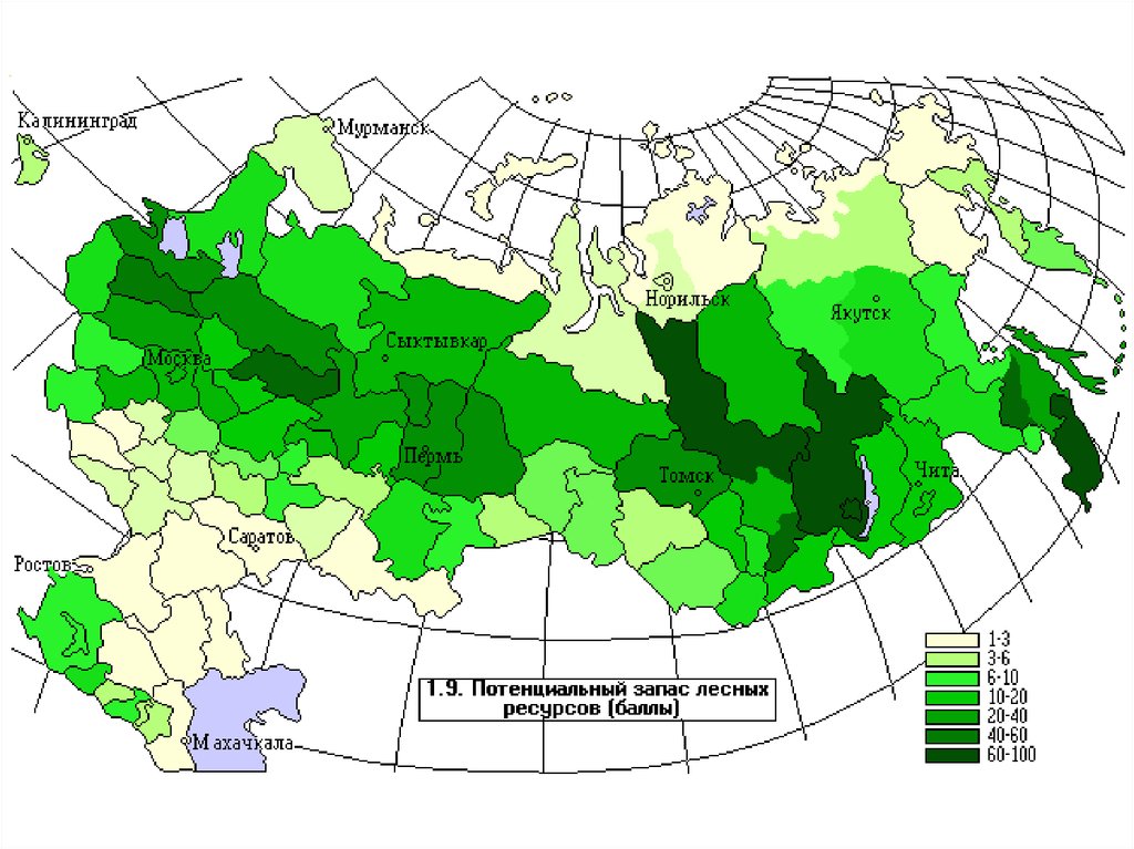 Карта лесов россии онлайн