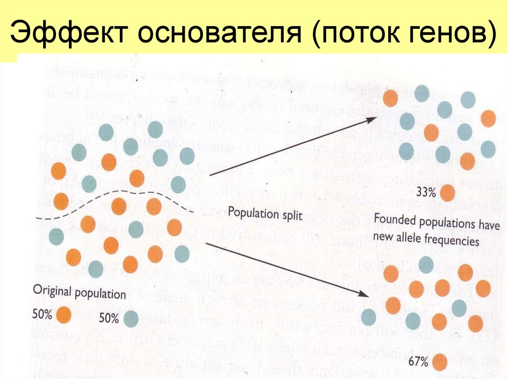 Поток генов