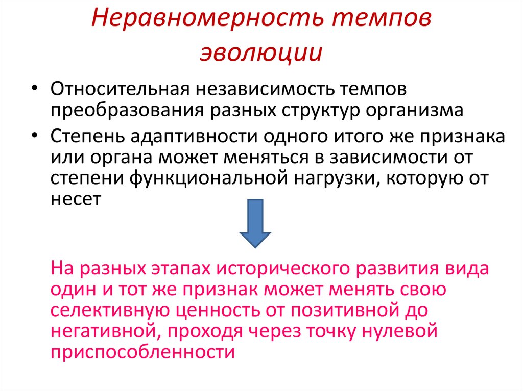 Адаптивная радиация неравномерность темпов эволюции