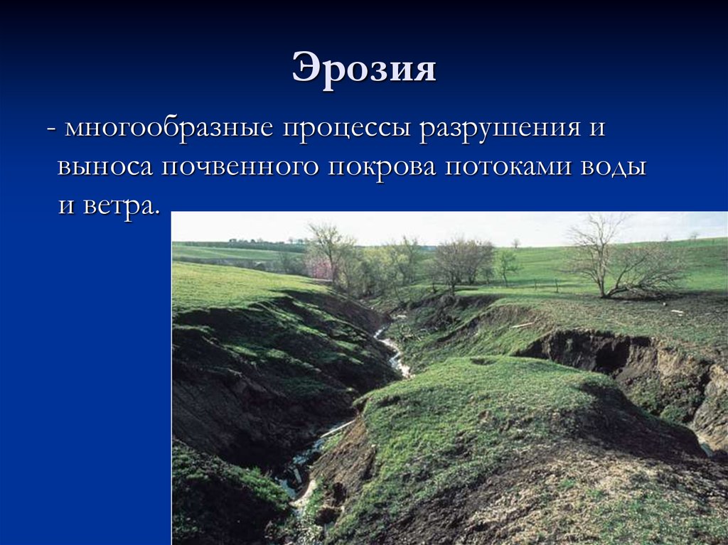 Подвергаются эрозии. Эрозия почвенного Покрова. Процесс разрушения почвенного Покрова. Водная эрозия потока.