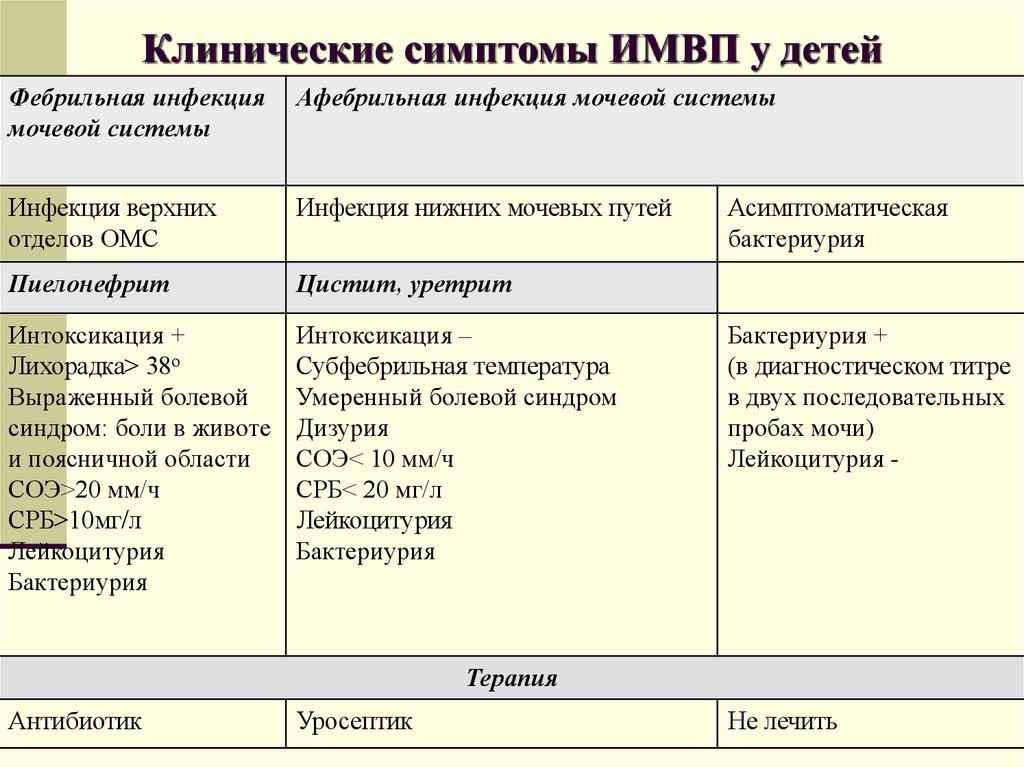 Лечение заболеваний мочеполовой