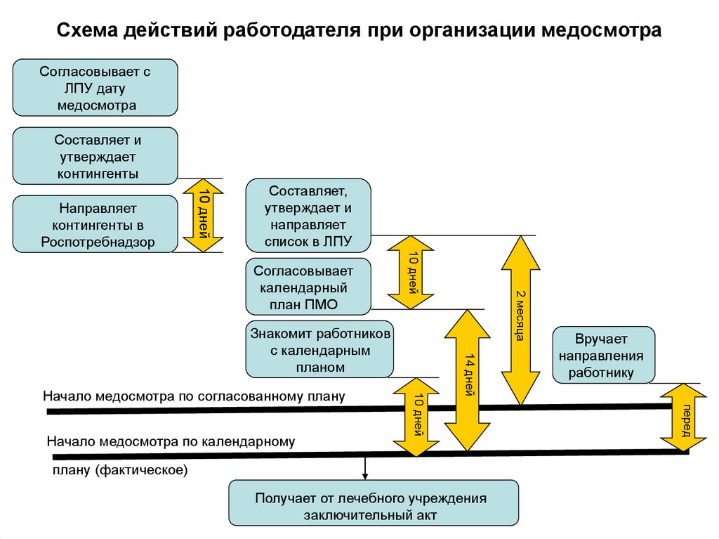 Образец календарного плана проведения периодического медицинского осмотра