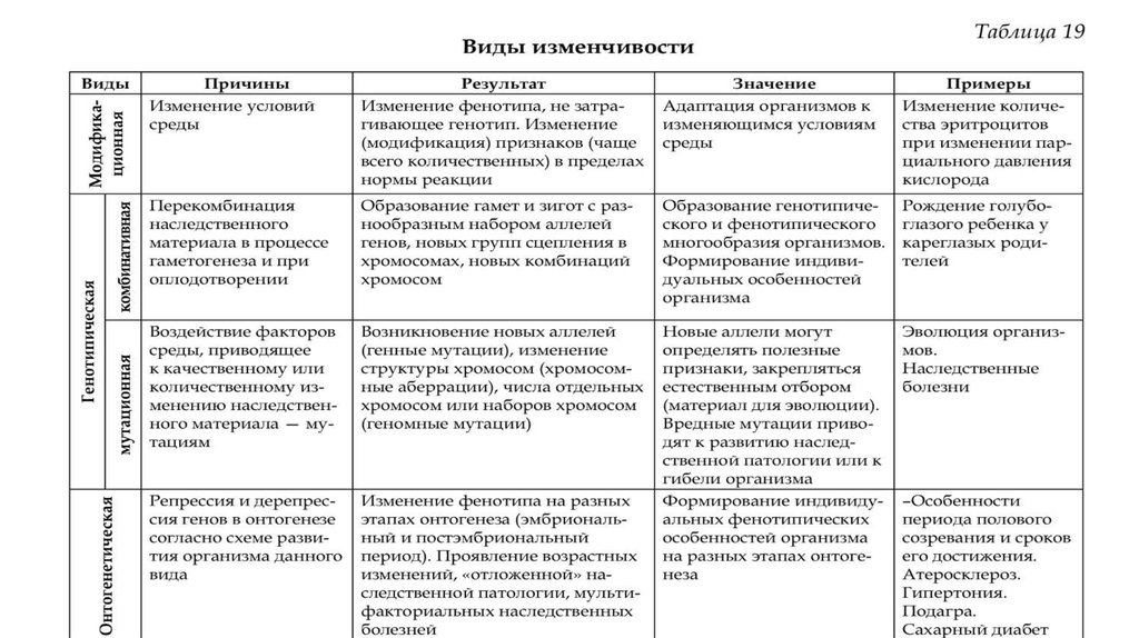 Изменчивость таблица схема