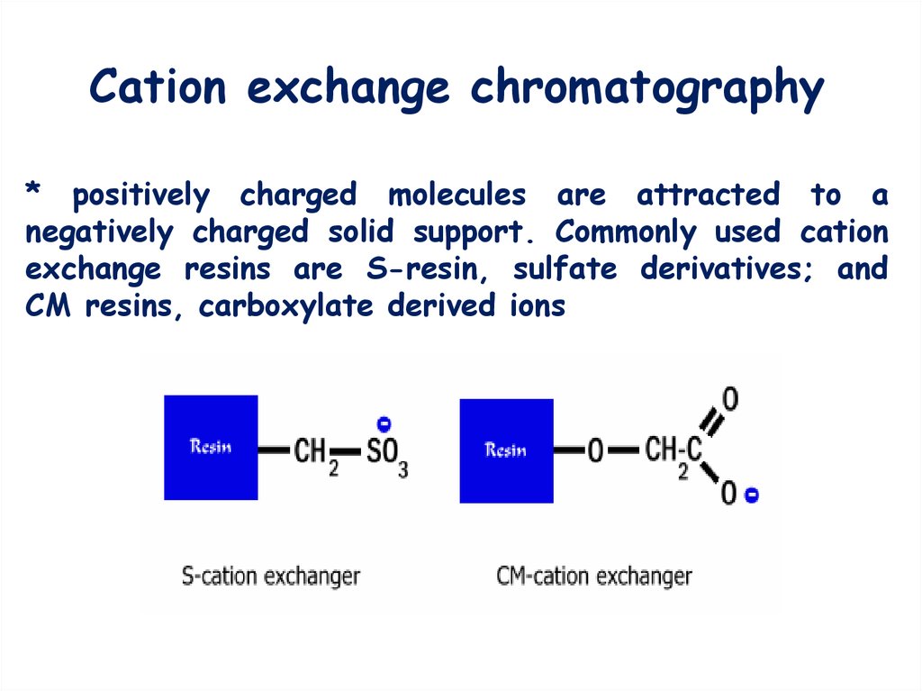 ion-exchange-chromatography