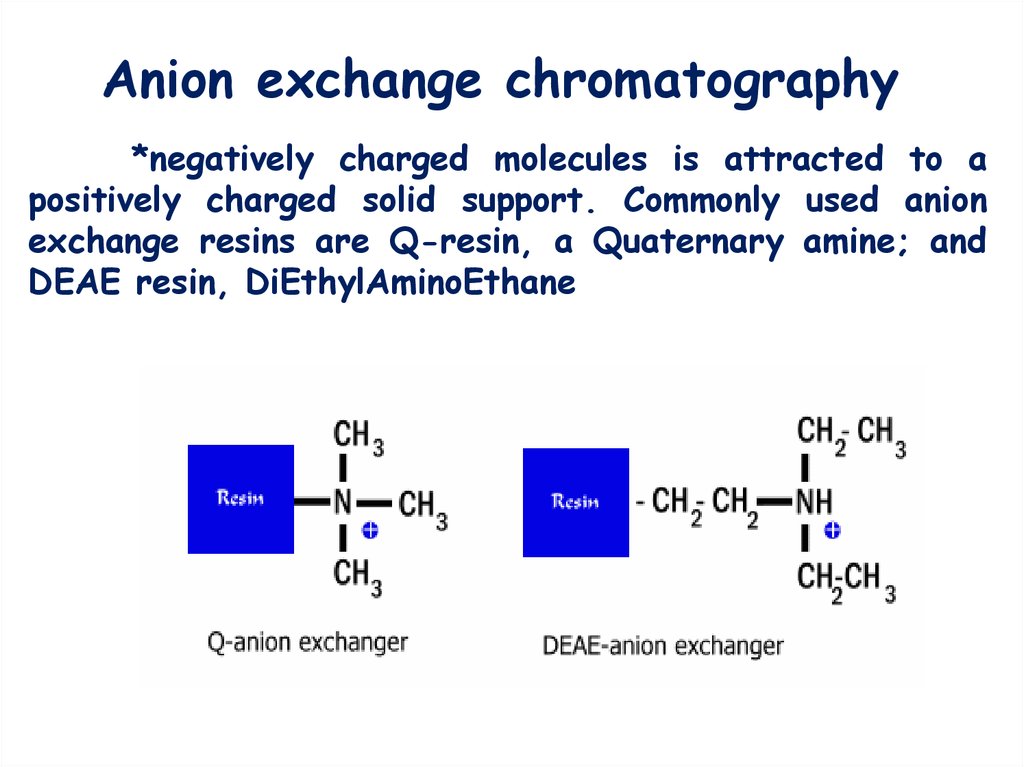 ion-exchange-chromatography-online-presentation