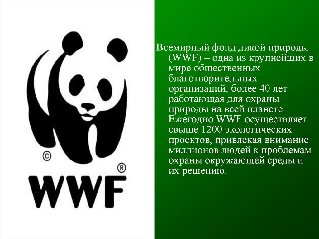The world wildlife fund is. Всемирный фонд дикой природы WWF. Эмблема фонда охраны дикой природы. Всемирный фонд дикой природы WWF сообщение. Международный фонд защиты дикой природы.