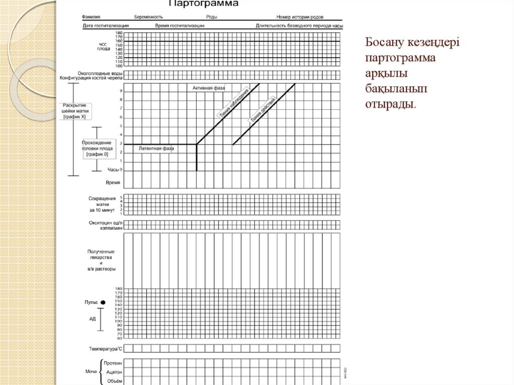 Партограмма в акушерстве образец