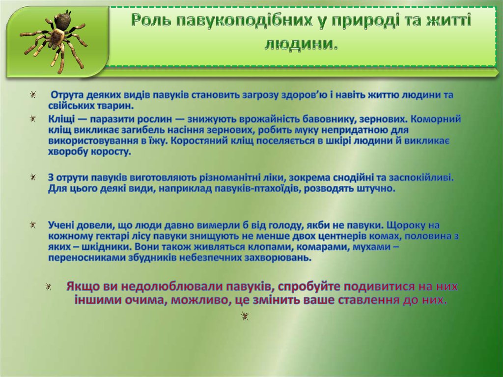 Роль павукоподібних у природі та житті людини.