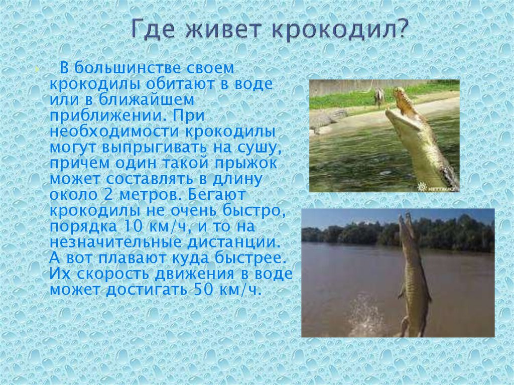 Где водятся крокодилы карта