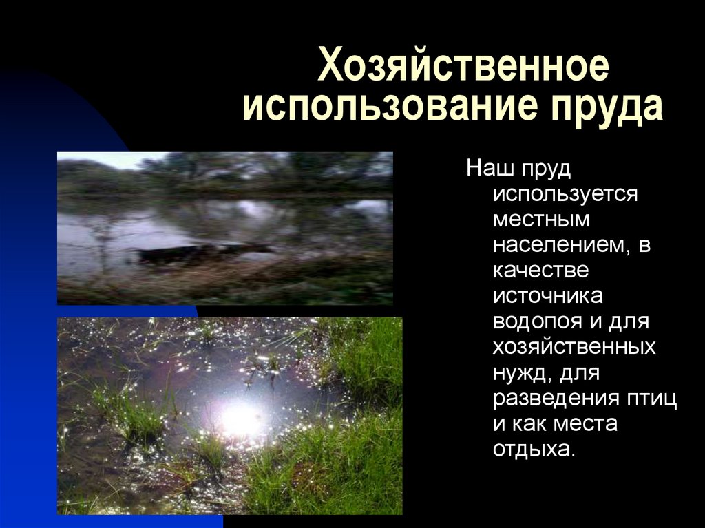 В момент открытия водоема вода. Использование водоемов человеком. Водоемы презентация. Как человек использует водоемы. Хозяйственное использование.