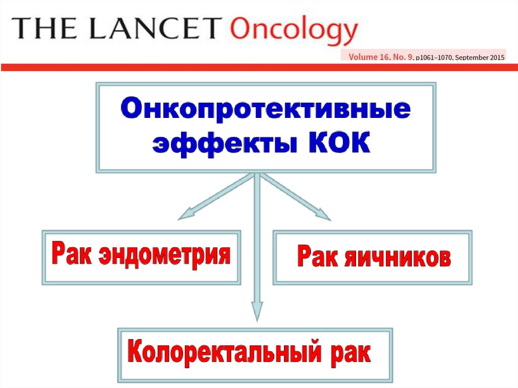 Кок презентация