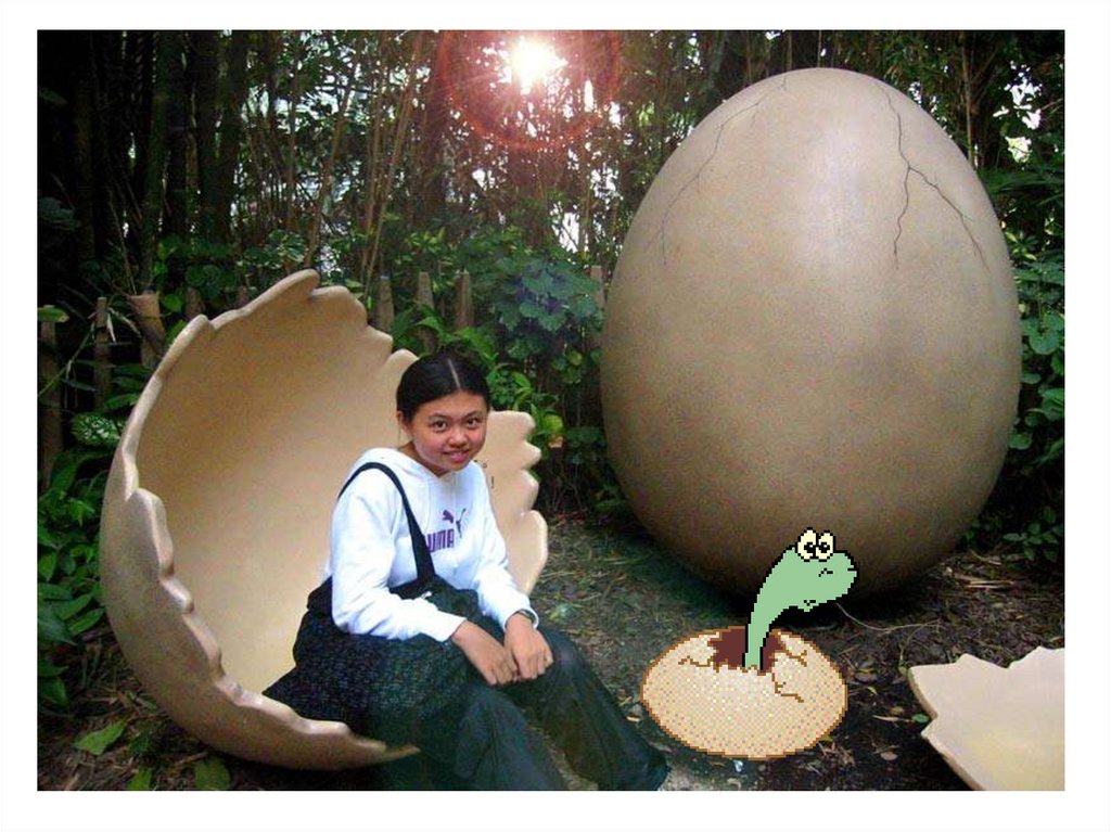 Громадное яйцо. Яйцо большое. Самые крупные яйца динозавров. Самое большое яйцо динозавра.