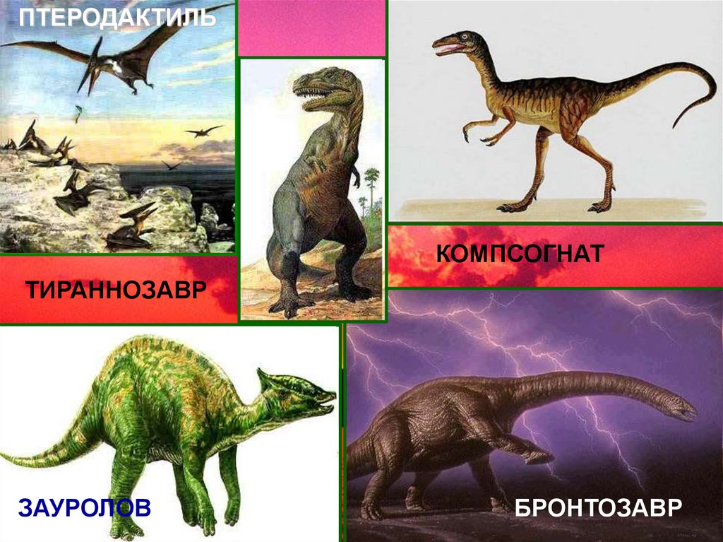 1 класс презентация когда жили динозавры