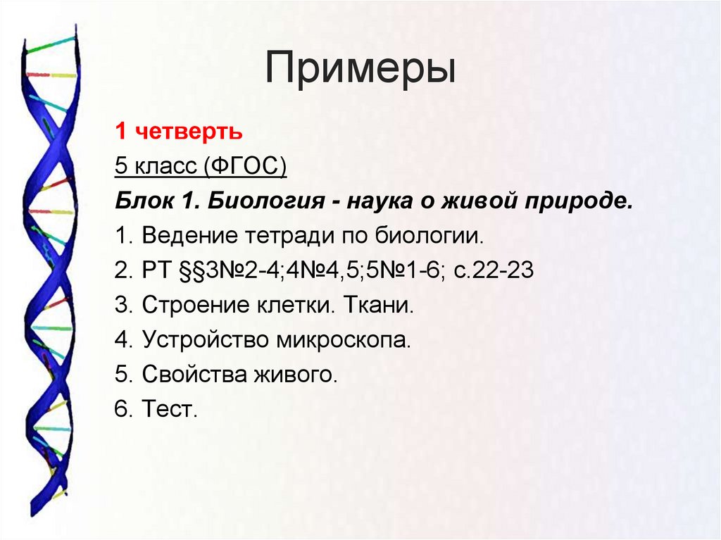 Биология контрольная работа 6 класс 1 четверть