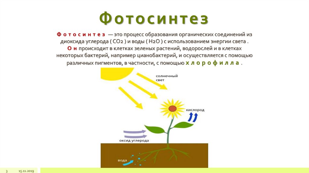 Фотосинтез протекает в 2 этапа. Фотосинтез у растений 2 этапа. Процесс фотосинтеза у растений начальная школа. Стадии фотосинтеза таблица. Фотосинтез схема кратко.