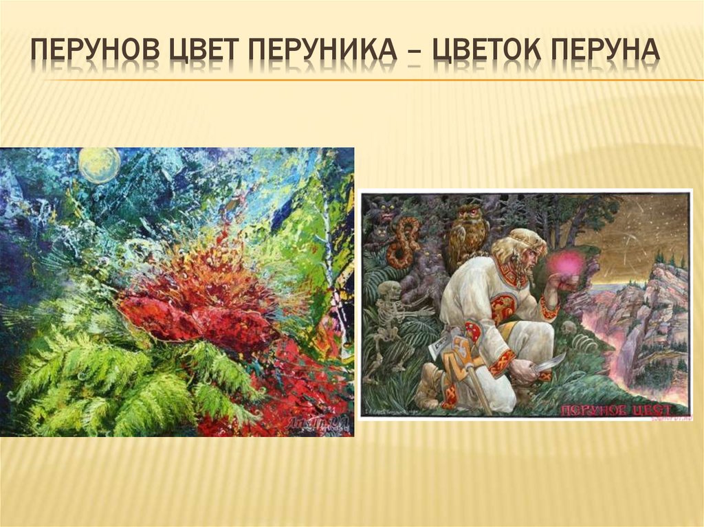 Перунов. Перунов цвет растение. Перунов цвет Перуника. Папоротник Перуна. Перунов цвет Легенда.