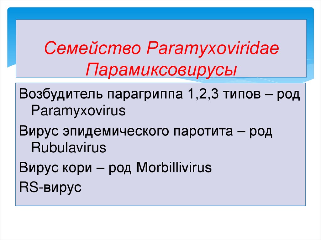 Семейство Paramyxoviridae Парамиксовирусы
