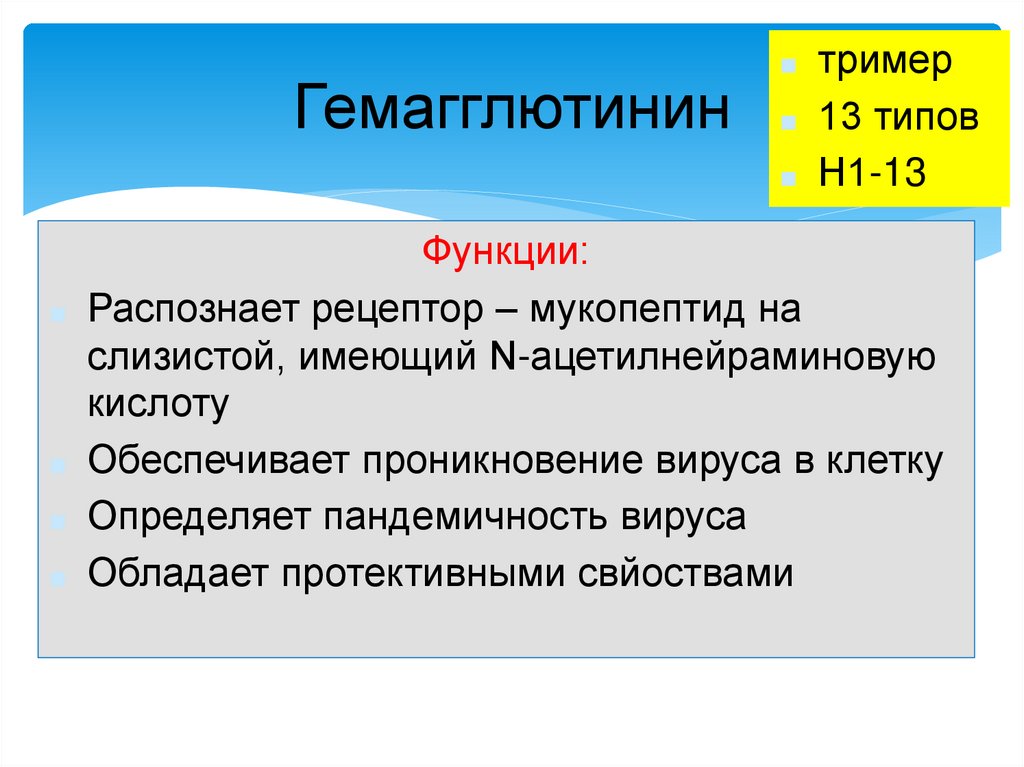 Гемагглютинин