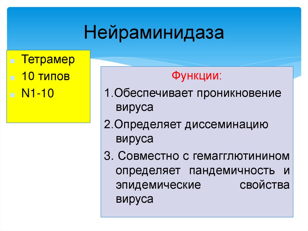 Нейраминидаза