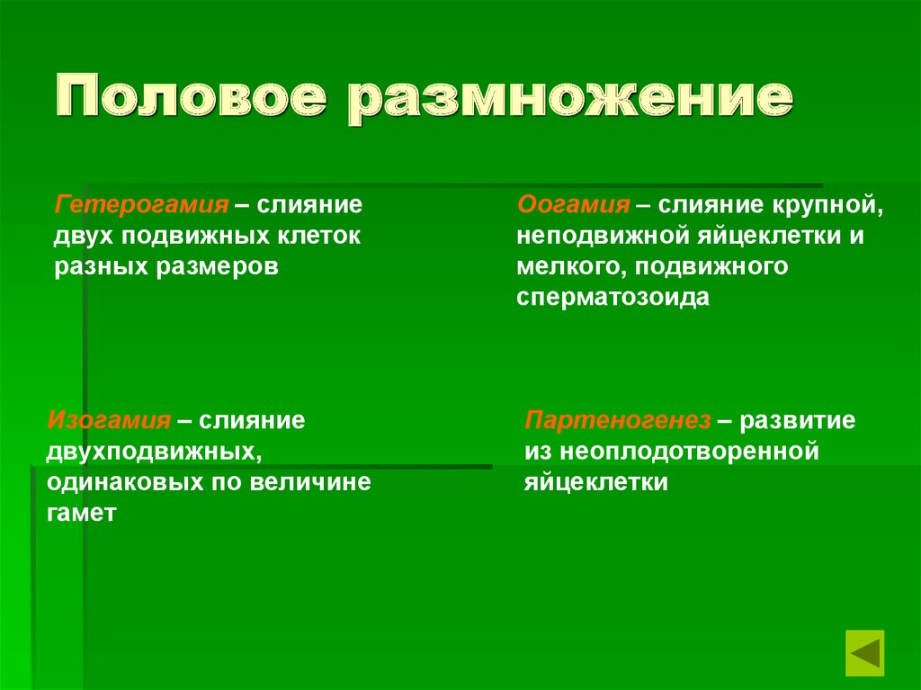 Назовите признаки полового размножения