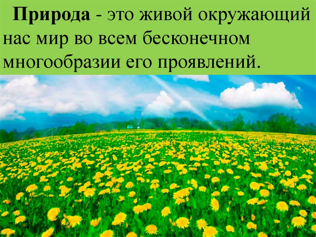 Природа это определение. Природа которая нас окружает. Окружающий нас мир. Природа это окружающий нас мир. Весь окружающий нас мир это.