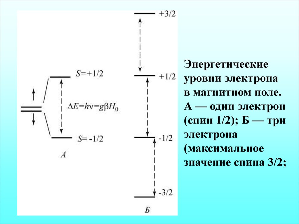 Электрон в 3. Энергетические уровни молекул биофизика. Один электрон. Суммарное значение спина электронов. 3 Электрона.