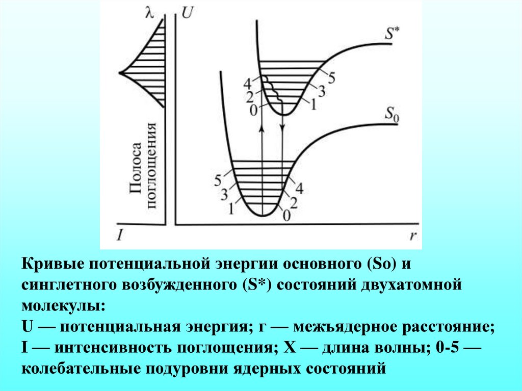 Потенциальная энергия молекул. Потенциальные кривые. Потенциальные кривые в динамике. Синглетный сигнал. Равновесное межъядерное расстояние молекулы.