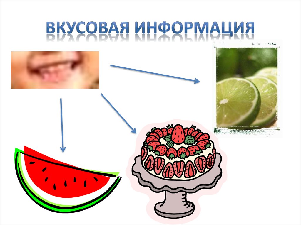 Вкусовая информация