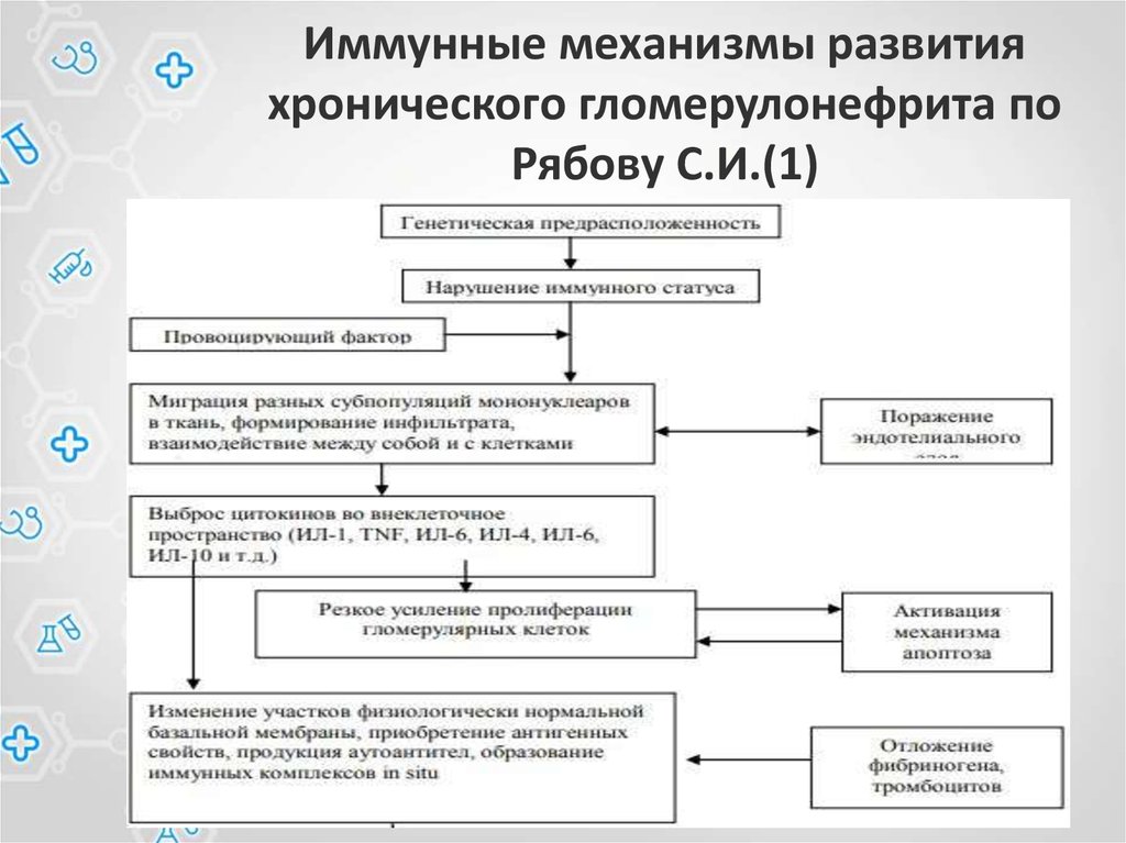 План обследования при гломерулонефрите