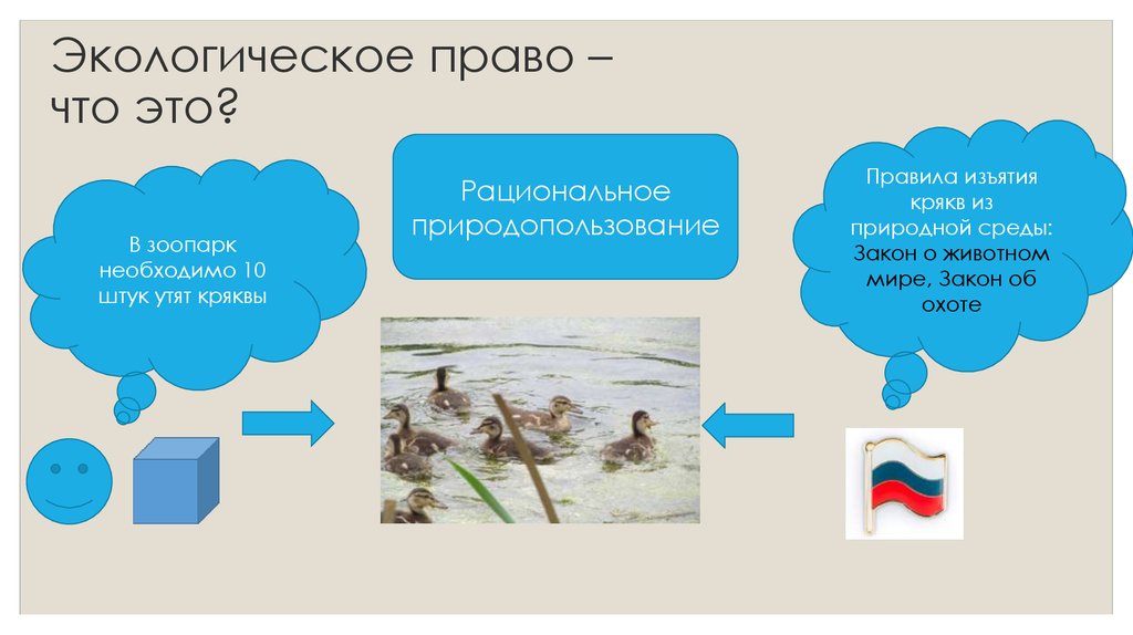 11 класс обществознание экологическое право презентация