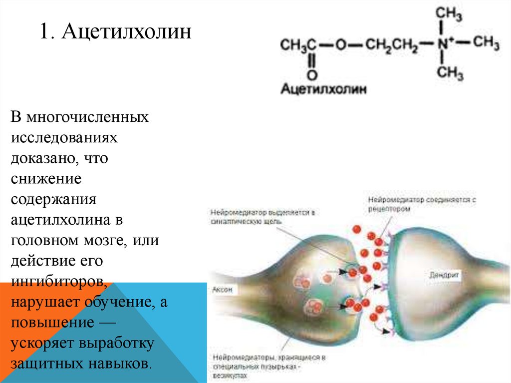 Биохимические аспекты