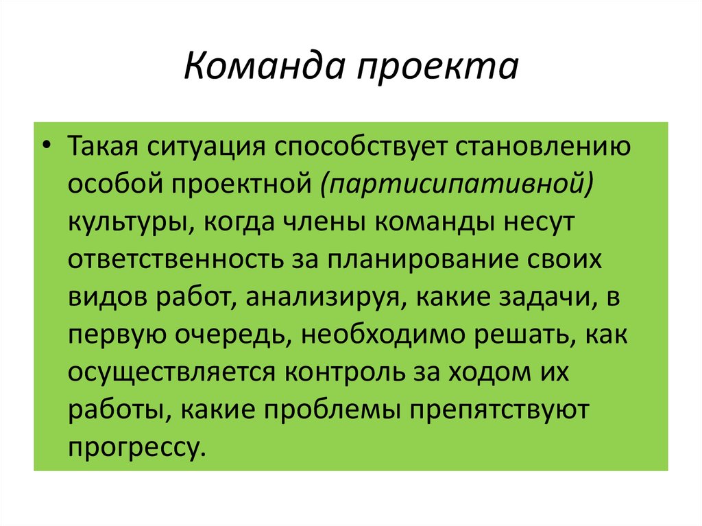 Группу людей обладающих синергетическим эффектом называют проекта