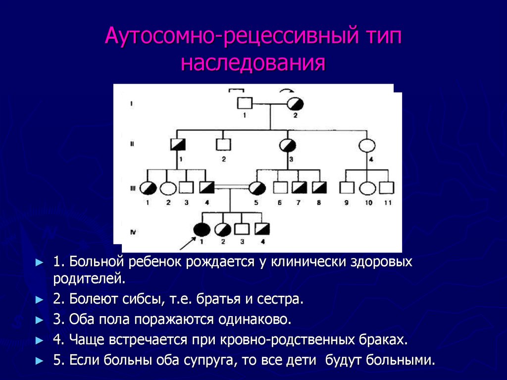 Y тип наследования