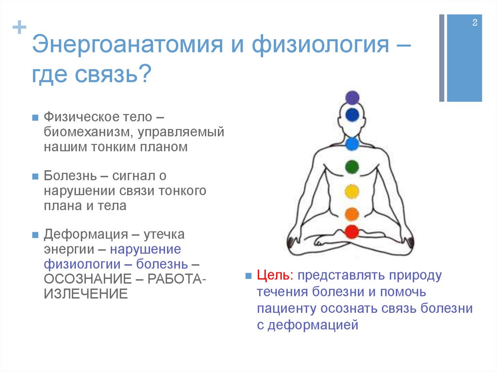 Брин в б физиология человека в схемах и таблицах