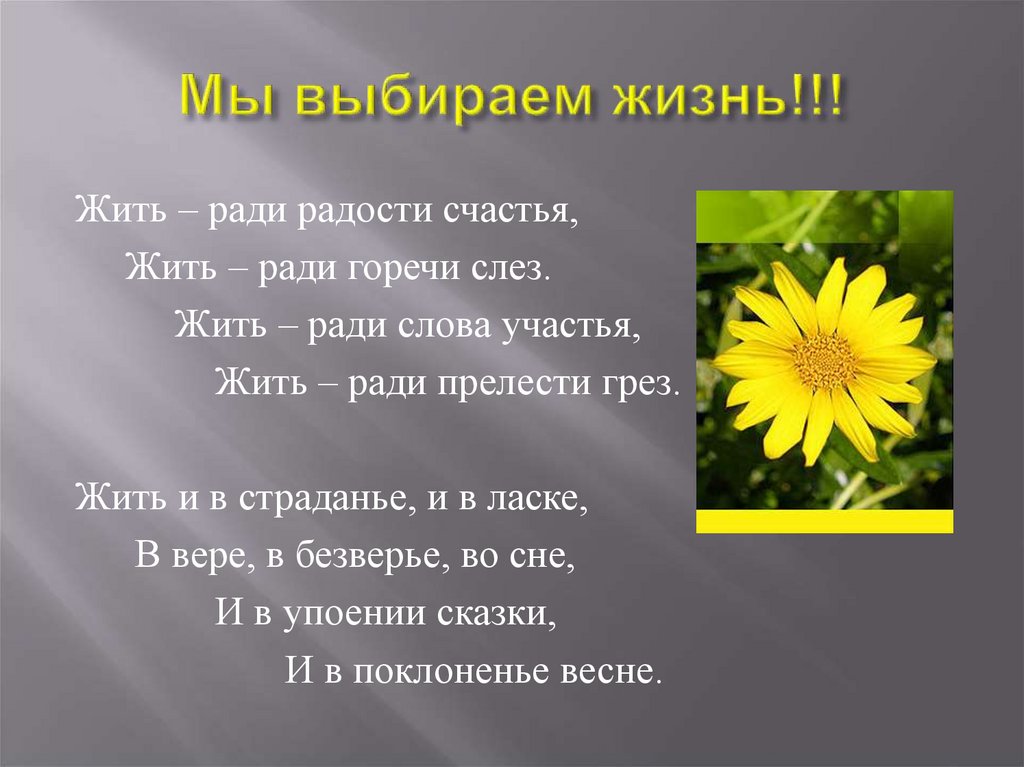 Жить подобрать. Жить ради радости и счастья. Мы выбираем жизнь текст. Мы выбираем жизнь по закону. Картинки мы выбираем жизнь по закону.