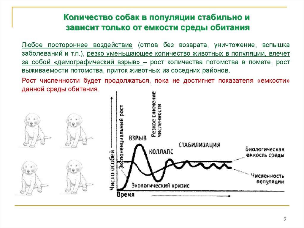 Какое значение популяции имеет емкость среды. Емкость среды популяции. Ёмкость среды популяции график. Рост численности собак. Стабильная популяция.