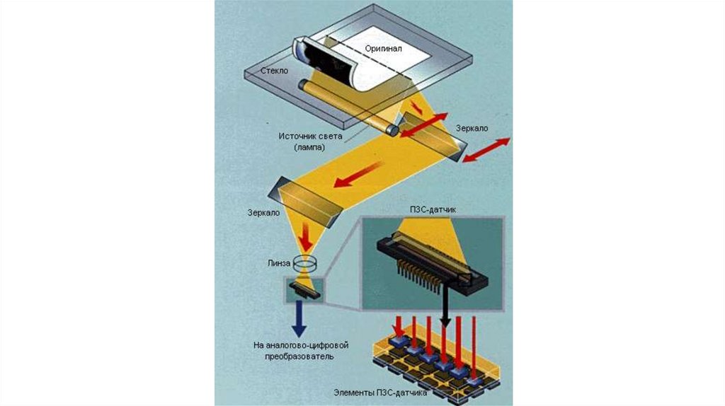 Как работает сканер. Схема CCD сканера. Строение сканера. CCD сканер структурная схема. Планшетный сканер вид фотодатчика.