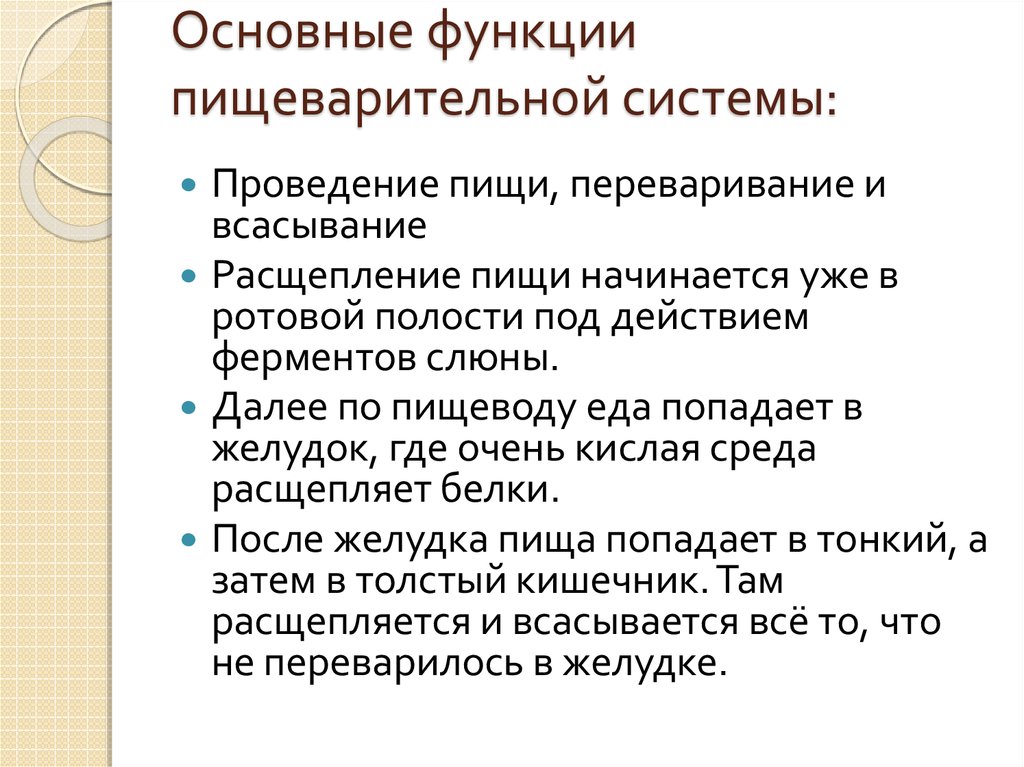 Основные функции системы. Основные функции системы пищеварения. Основные функции пищеварительной системы человека. Функции пищеварительной системы кратко. Система органов пищеварения выполняет функции.