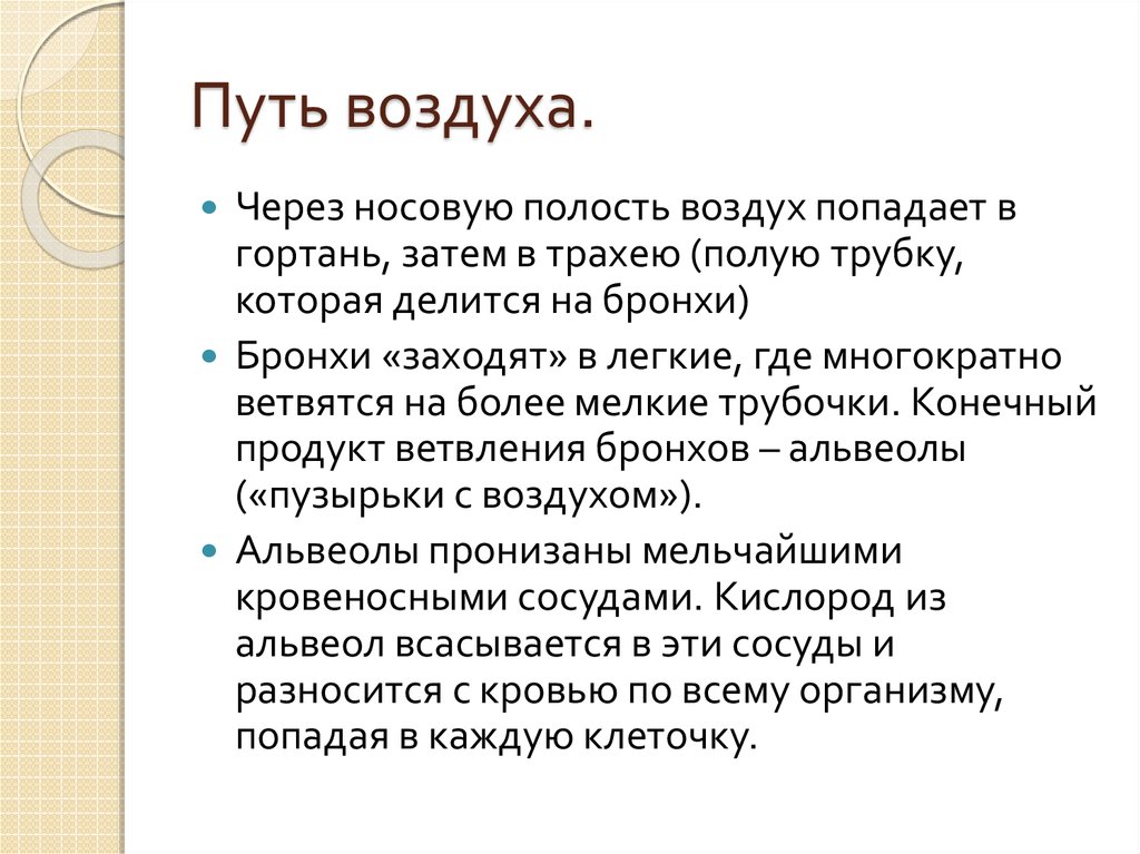 Путь воздуха.