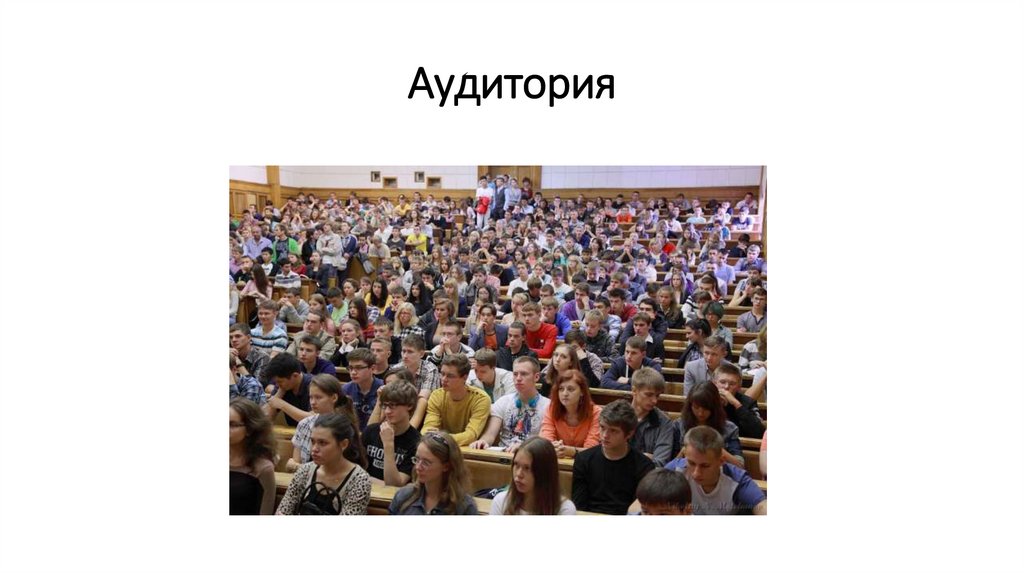 Аудитория