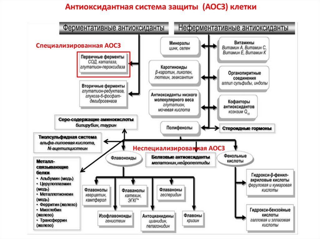 Фармакотерапия тесты с ответами