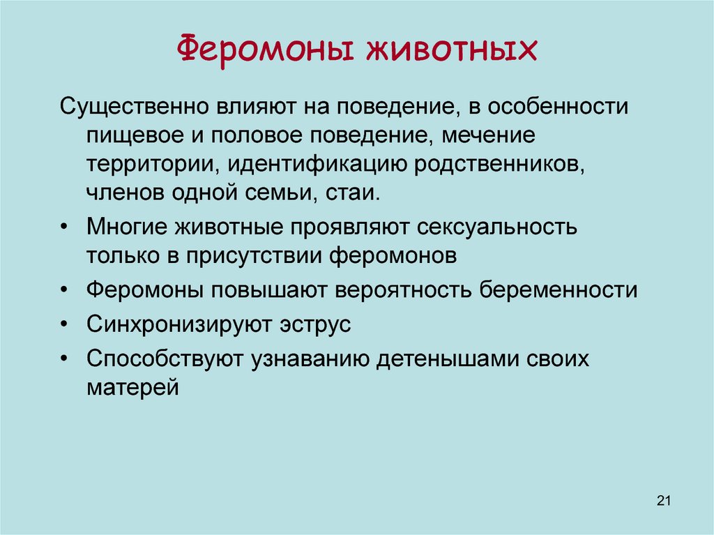 Феромоны говорят иначе