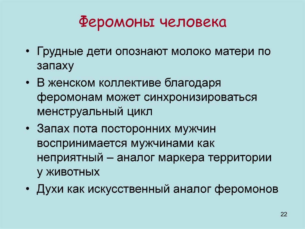 Феромоны говорят иначе