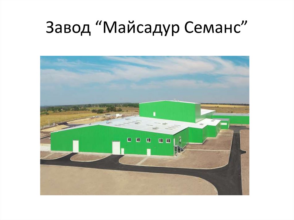 Завод “Майсадур Семанс”