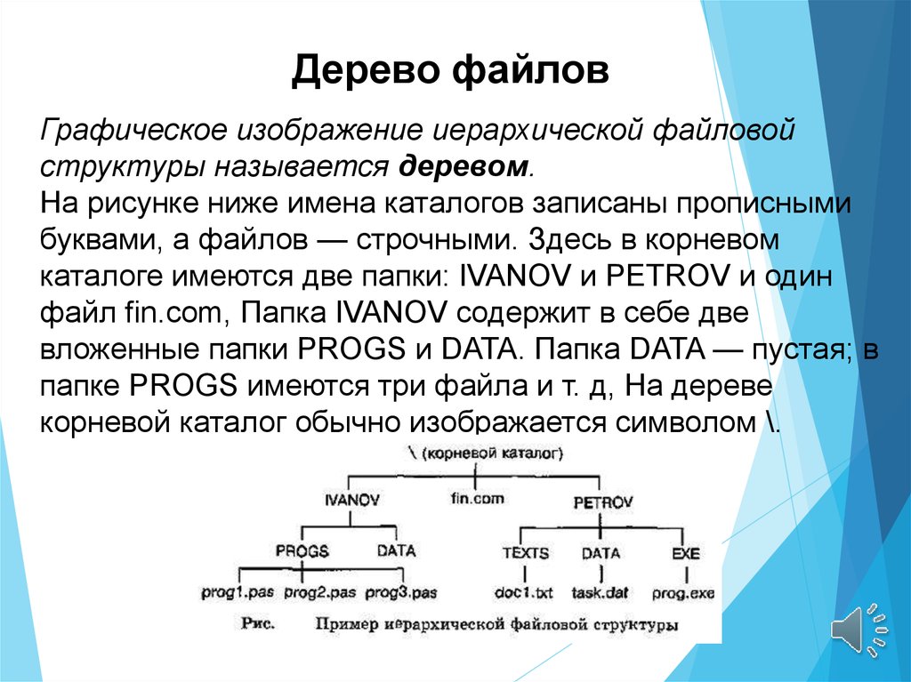 Файлы и файловые структуры