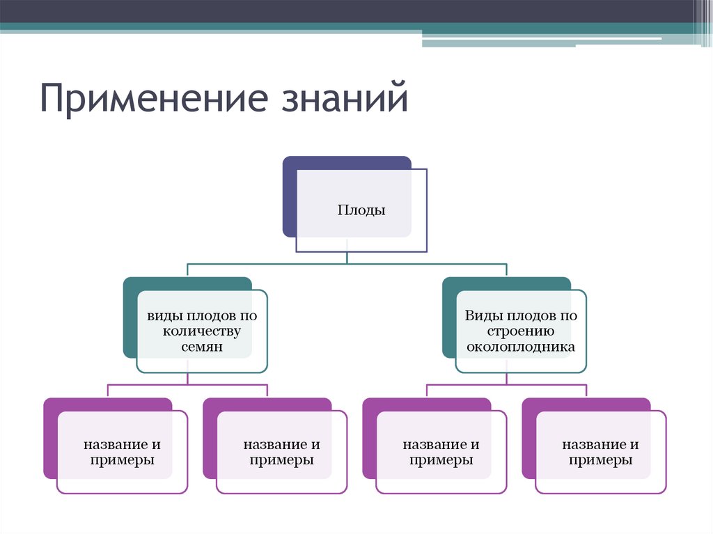 Виды знания информации