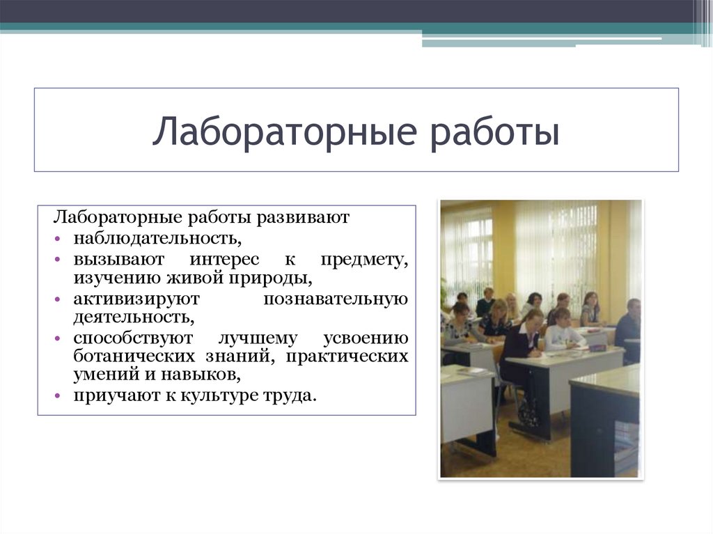 Виды лабораторных работ. Лабораторная работа. Типы лабораторных работ. Лабораторная работа в школе. Урок лабораторная работа.